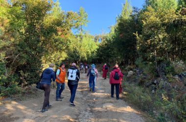Hiking